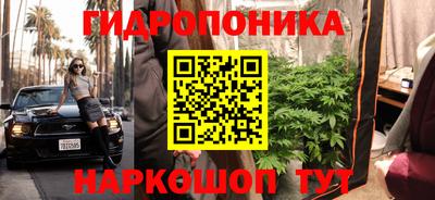 прущие грибы Кинель