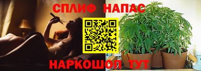 mdma Кингисепп