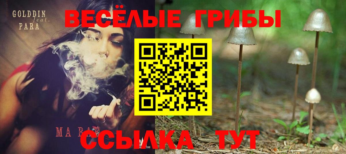 Псилоцибиновые грибы ЛСД  Вход с VPN  купить наркотик  Красноуфимск  Псилоцибиновые грибы Psilocybe 